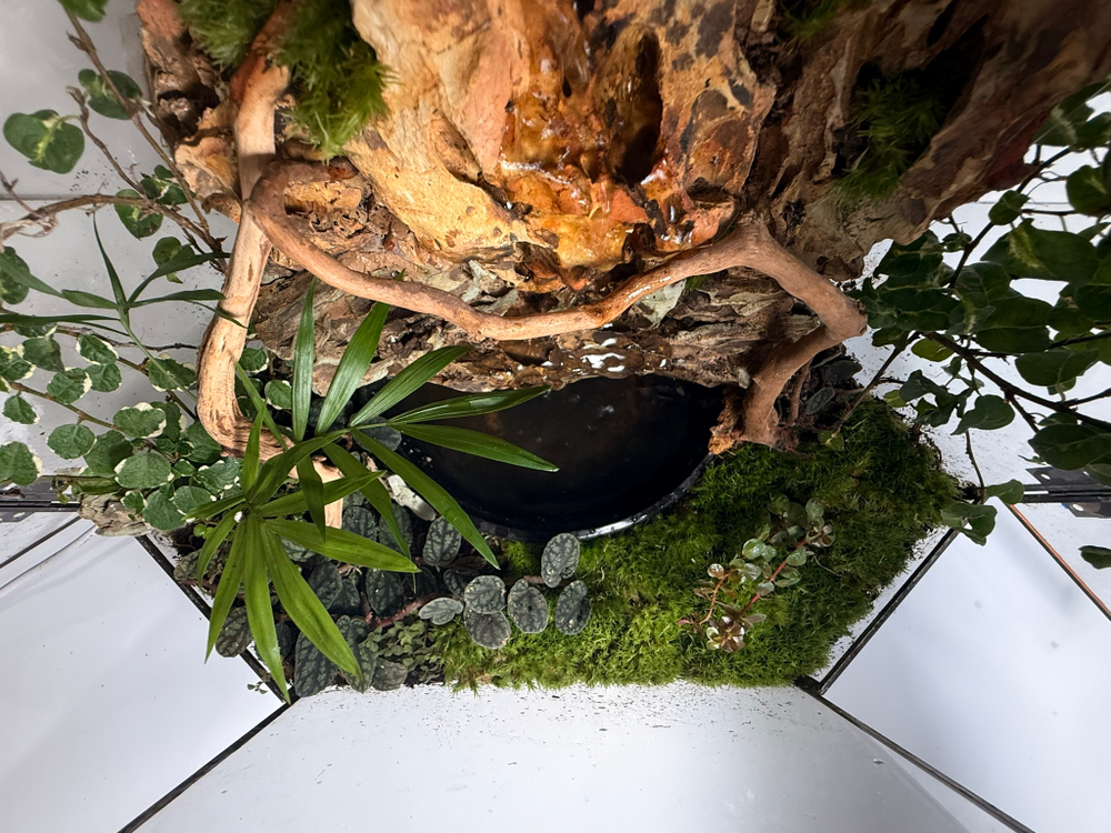 Флорариум XL (от 50 см)