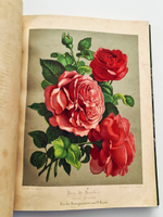 "Nestel`s Rosengarten. [  Сад роз Нестела]". E. Schweizerbartsche Verlagshandlung. 1869г.