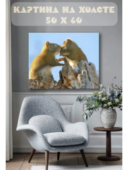 Картина на стену 40 X 50 Белки