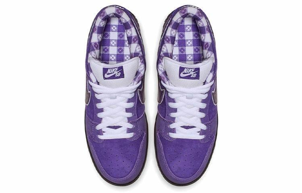 Кроссовки Concepts X Nike Dunk Sb Pro