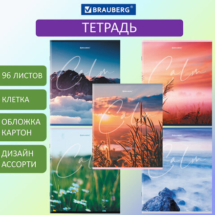 Тетрадь А5 96 л. BRAUBERG скоба, клетка, "Calm"