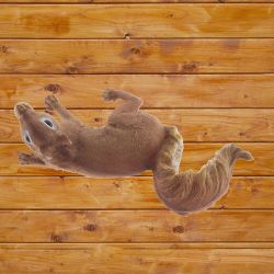 GAEM Фигурка декоративная "Белка", L27 W14 H9 см