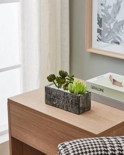 Растение в горшке Eglo Chitose 428009