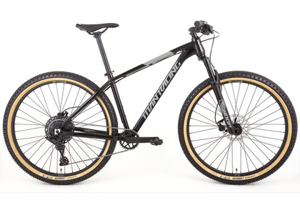 Горный велосипед Titan Racing Rogue Sport (2024)