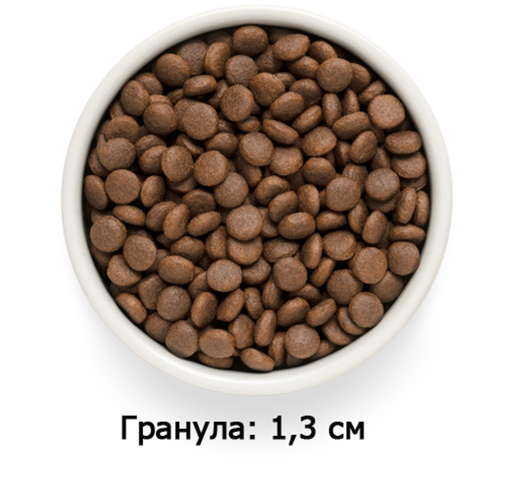 GRANDORF FRESH Junior Lamb & Potato - ягненок & батат для юниоров