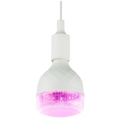 Фитолампа для растений светодиодная ЭРА GREEN LINE ФИТО-35W-PL-E27-GR красно-синего спектра 35 Вт Е27