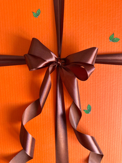 Воздушные гелиевые шарики с доставкой по Хабаровску Чебурашка №4638