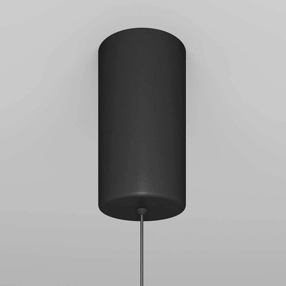 Подвесной светильник Maytoni Ray P022PL-L20B3K