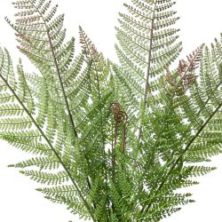 GAEM Ветка искусственная "Папоротник", L21 W21 H94 см