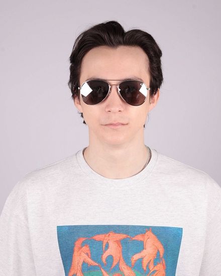 Очки Anteater Aviator Silver