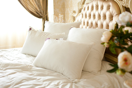 Подушка антиаллергенная 68х68 German Grass Non-Allergenic Premium белая