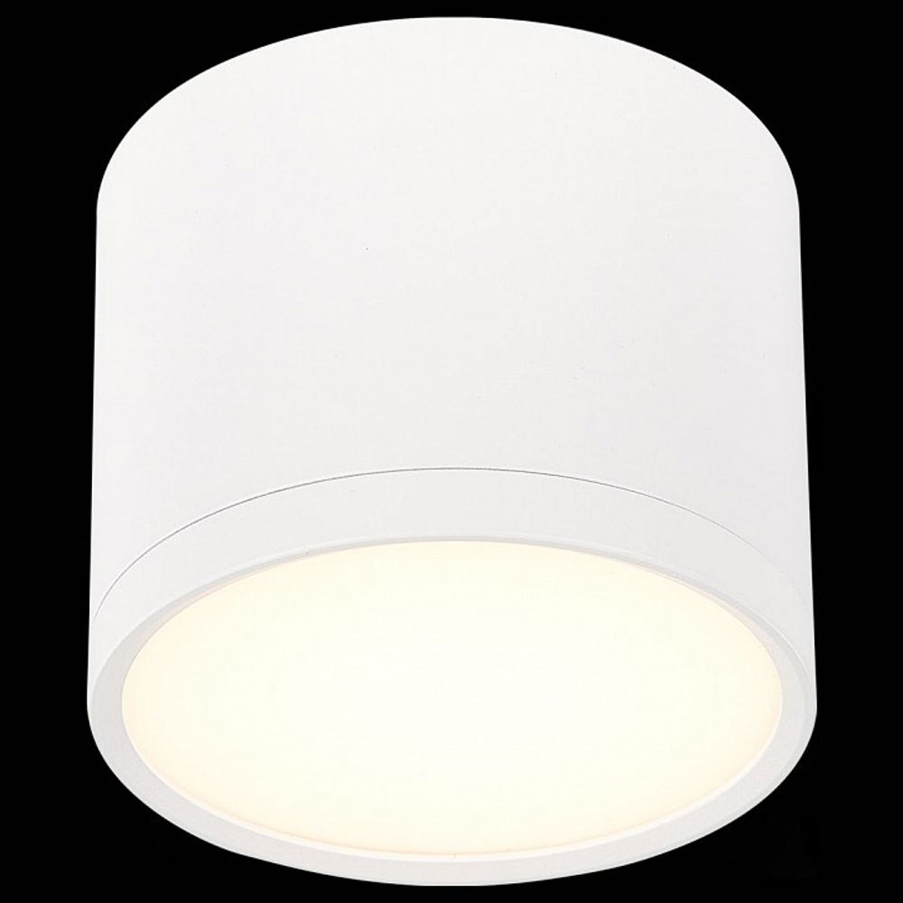 Накладной светильник ST-Luce Rene ST113.532.09