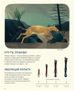 Лошади: дикие и прирученные                   (non-fiction)