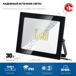 ЗУБР ПСК-30 30 Вт, 6500К IP65 Светодиодный прожектор Профессионал, (57141-30)