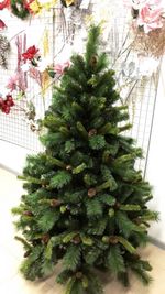 Ель с шишками "Байкальская" (леска+пвх) 150 см / 1,5 м