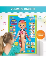 Обучающий плакат Изучаем анатомию: Моё тело