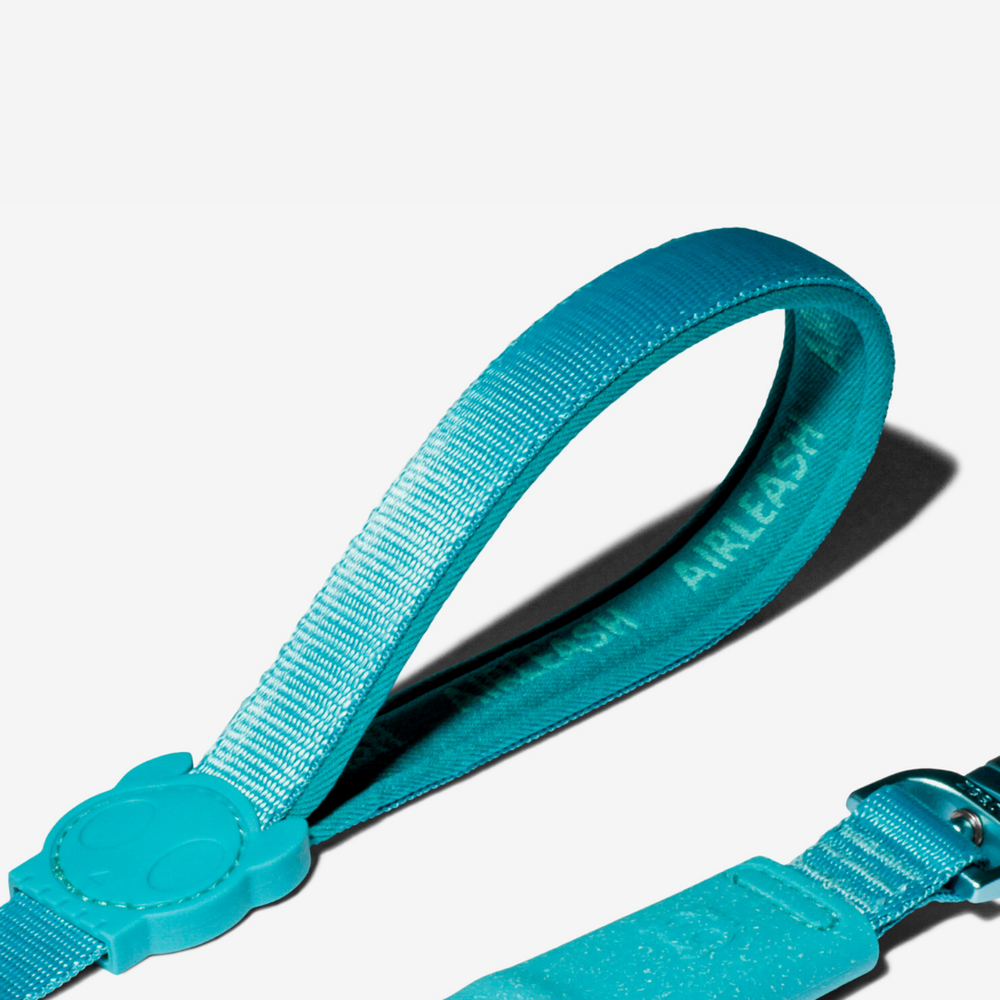 Амортизирующий поводок Air Blue 150 см Zee.Dog