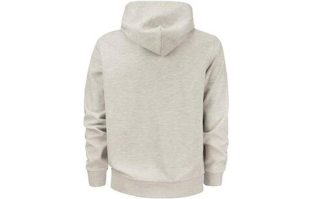 Толстовки Polo Ralph Lauren FW22 Logo, 710888282-003