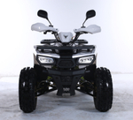 Квадроцикл TAO MOTOR HUNTER New 125