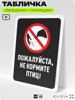 Табличка "Не кормите птиц" на дверь и забор, для двора, дома, подъезда, 40х30 см, Silver Plane x Айдентика Технолоджи