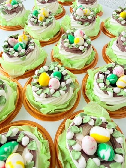 Купол «Гнездо»