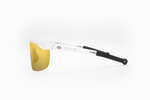 Спортивные очки AVEO Iride / Clear / Gold Mirror Lens