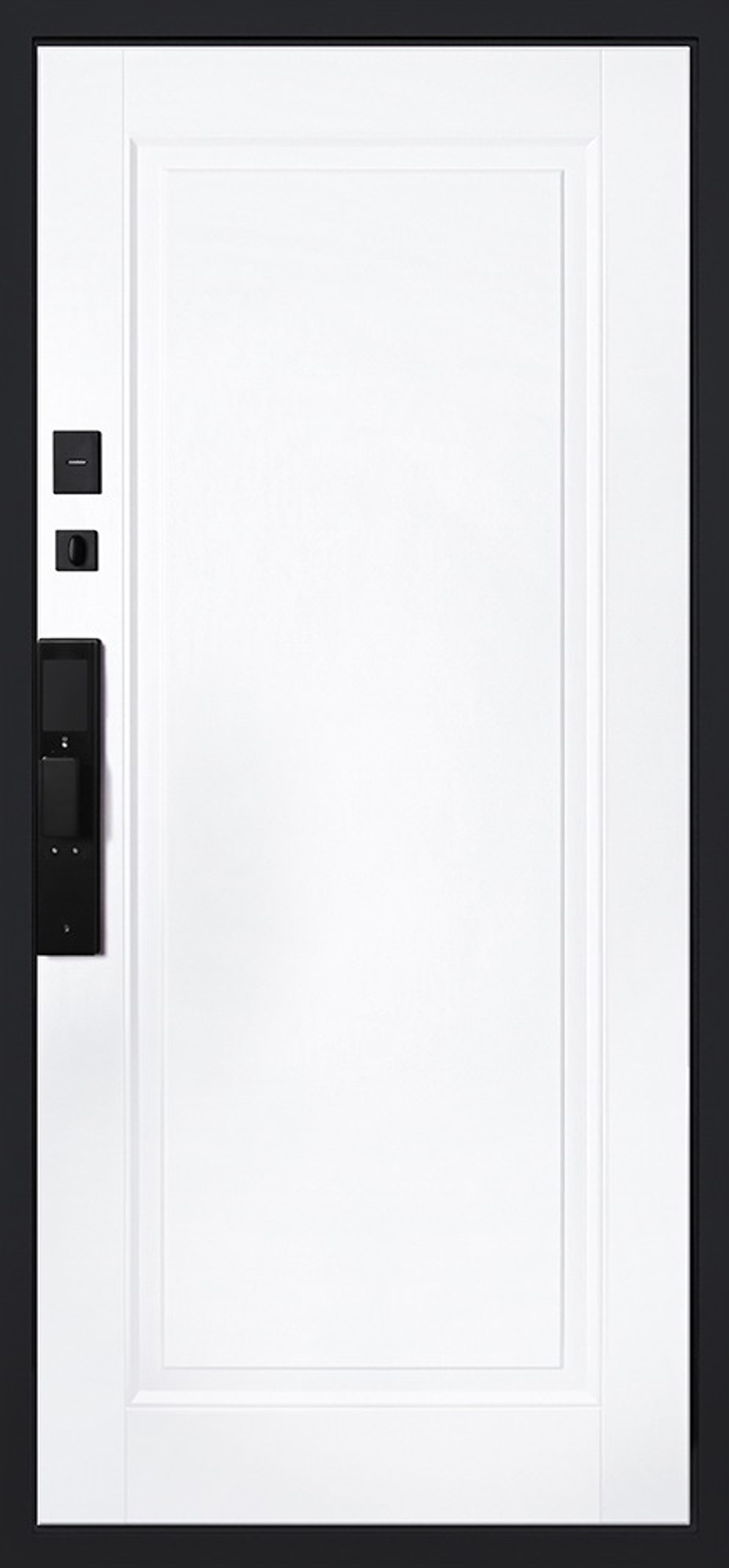 Стальная дверь "Амстердам" (биометрический замок DZ 888). Заказная модель.