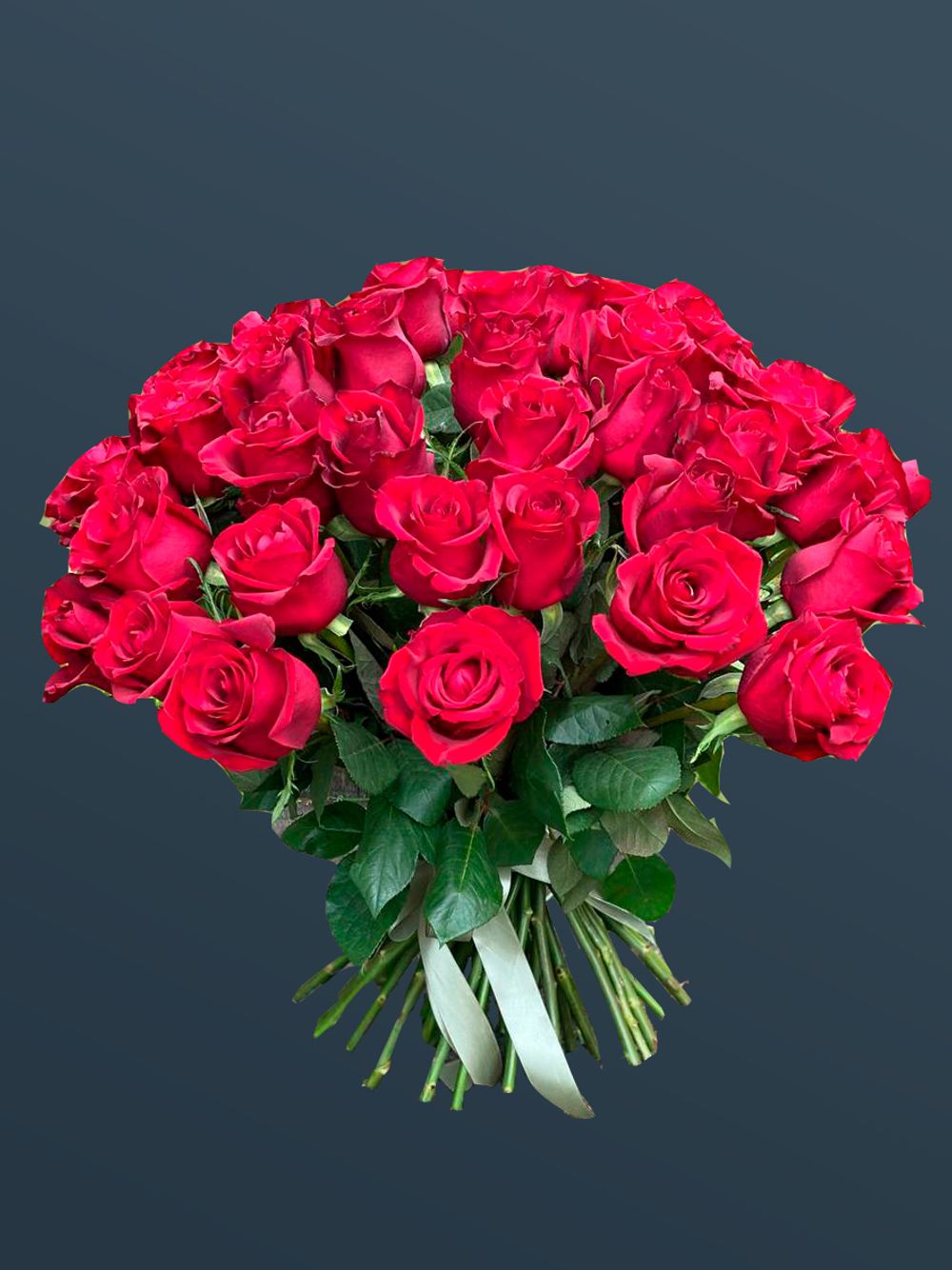 Розы 51 шт