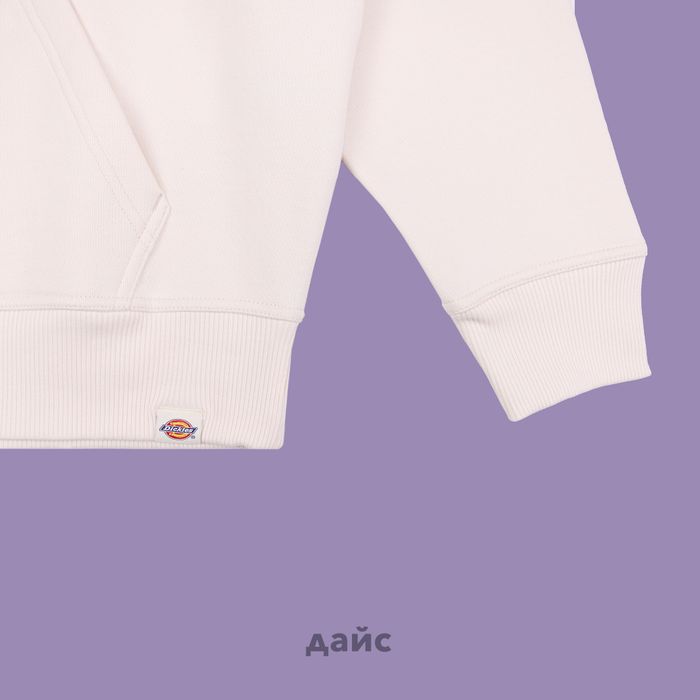 Толстовка мужская Dickies Enterprise Hoodie артикул:DK0A4Z2NF901 - купить в магазине Дайс