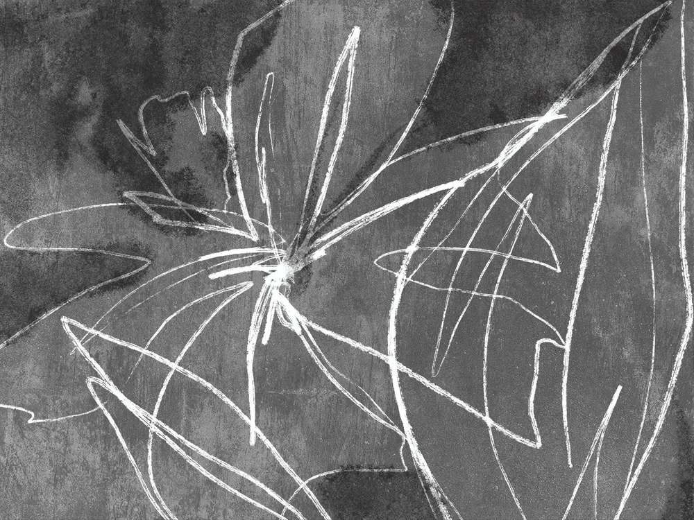 Коллекция ROCKART