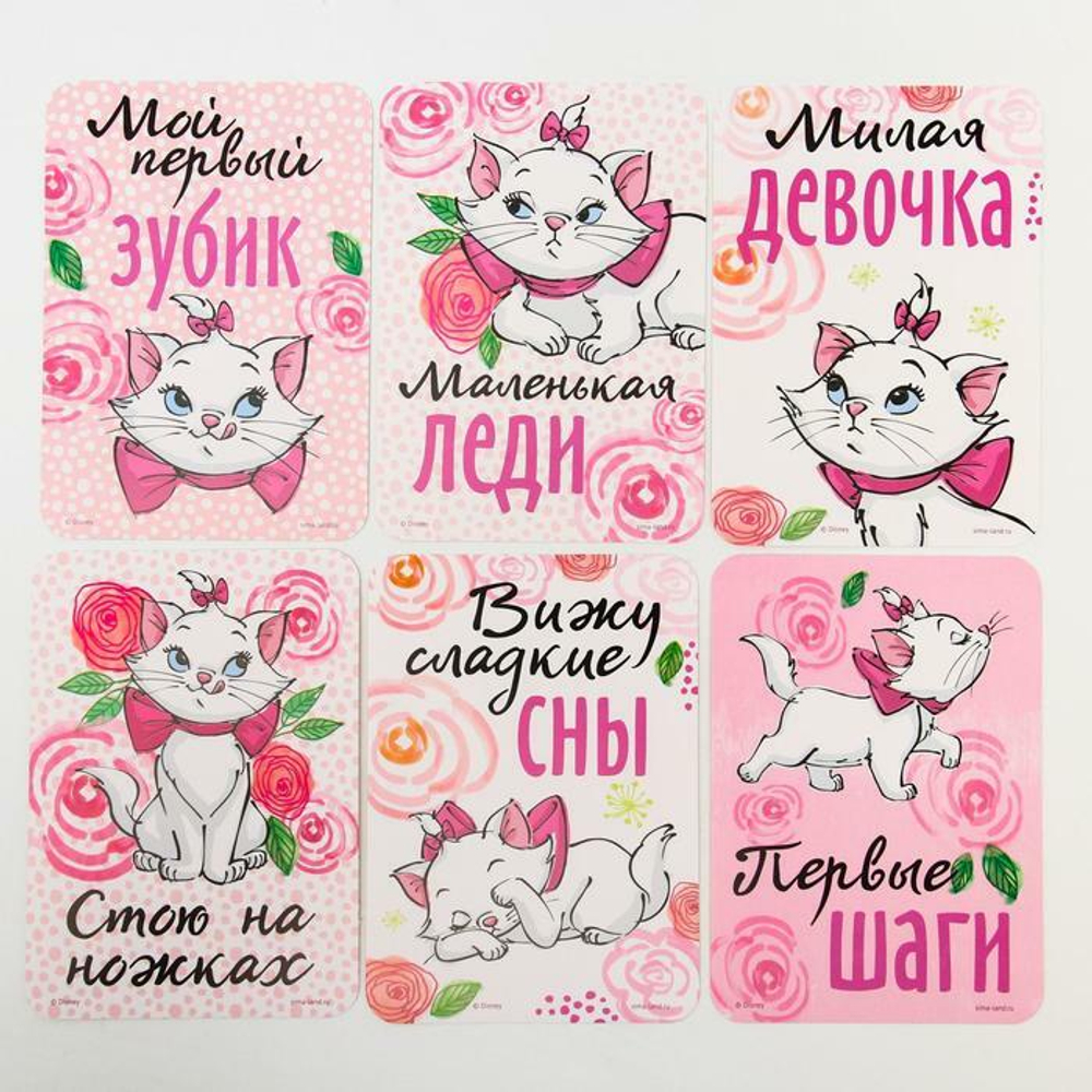 4779921 Набор карточек для фотосессий, Коты аристократы