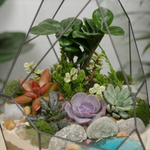 Готовый флорариум с суккулентами Hill с озером