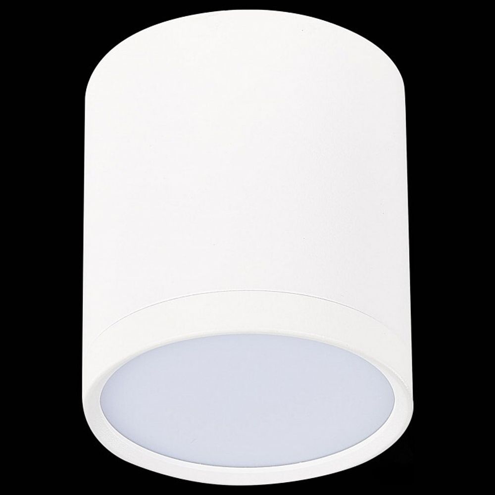 Накладной светильник ST-Luce Rene ST113.532.05