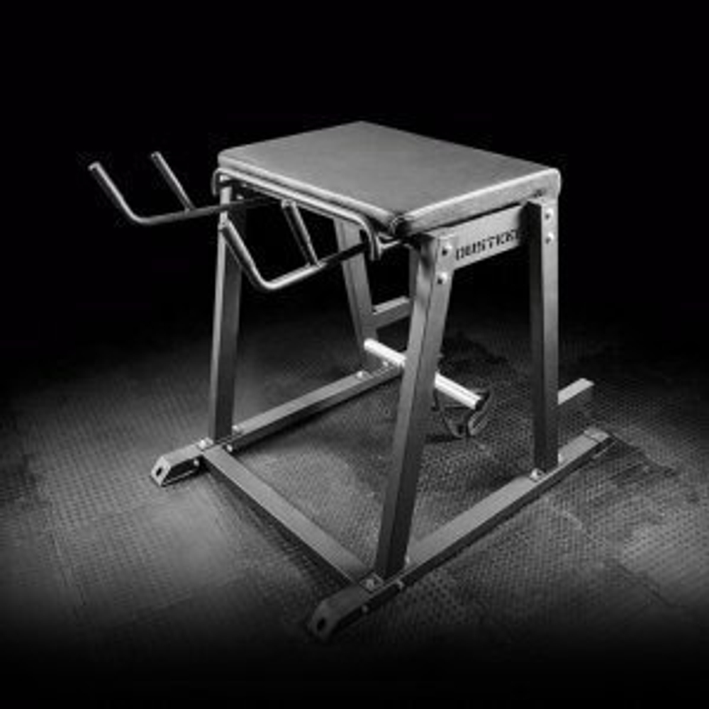 Обратная гиперэкстензия REVERSE HYPER