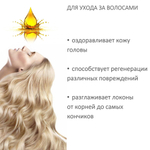 Масло амлы / Amla Oil