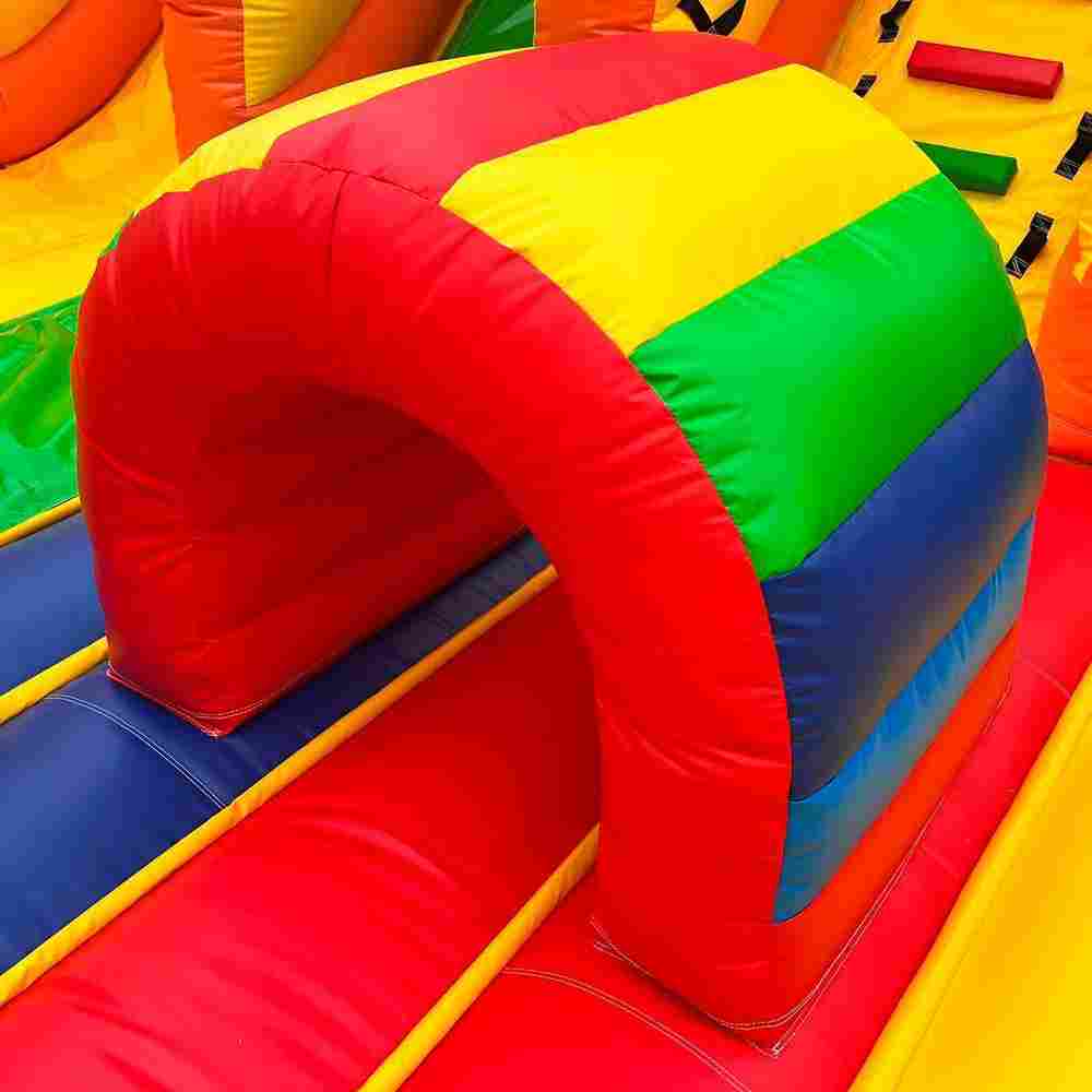 Коммерческий надувной батут Сафари-Тигр с принт печатью, 10*9*8м