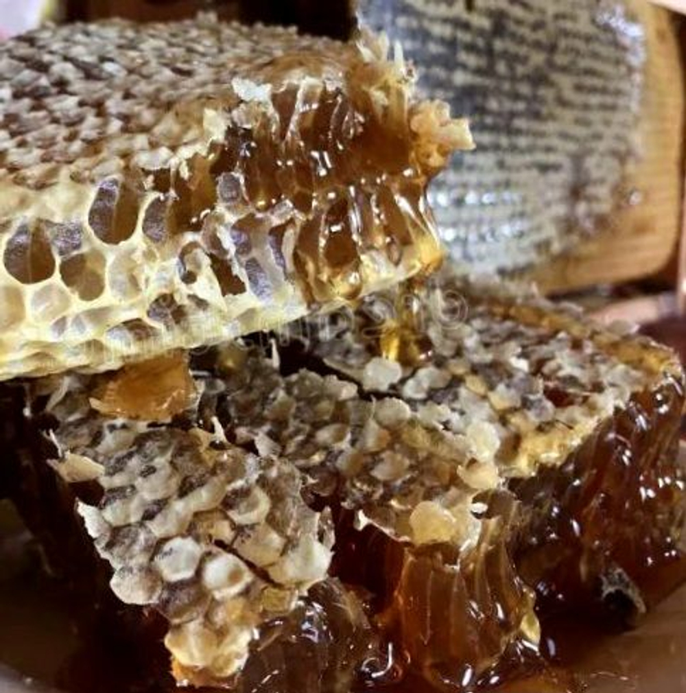 Мёд цветочный в мини- сотах разнотравный, Алтайский край, 385-490 гр.