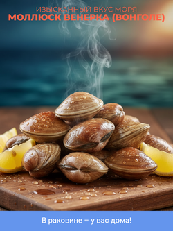 Моллюск венерка (вонголе) в раковине в/м 500 гр