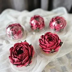 Зефир «Пион бордовый» Зефир «Пион бордовый»