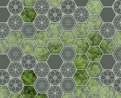 Коллекция GREENDAY