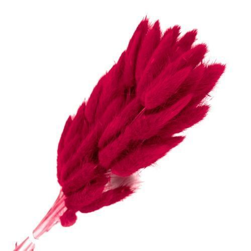 Сухоцветы ЛАГУРУС 65см 34гр ЯРКИЙ