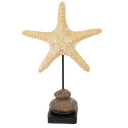 GAEM Фигурка декоративная "Морская звезда", L24 W24 H37 см