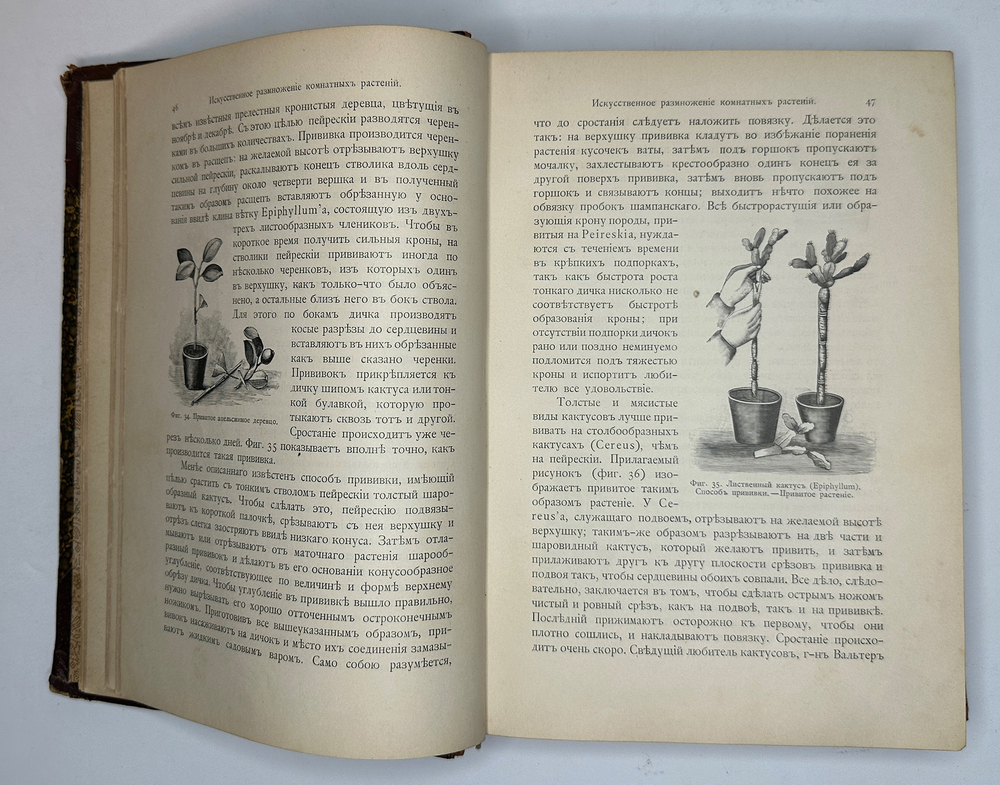 Гесдерфер М. Комнатное садоводство. СПб. Изд. Девриена, 1898г.