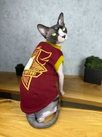 Одежда для сфинксов