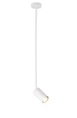 P070DW/1 WHITE (1) Светильник (NW)