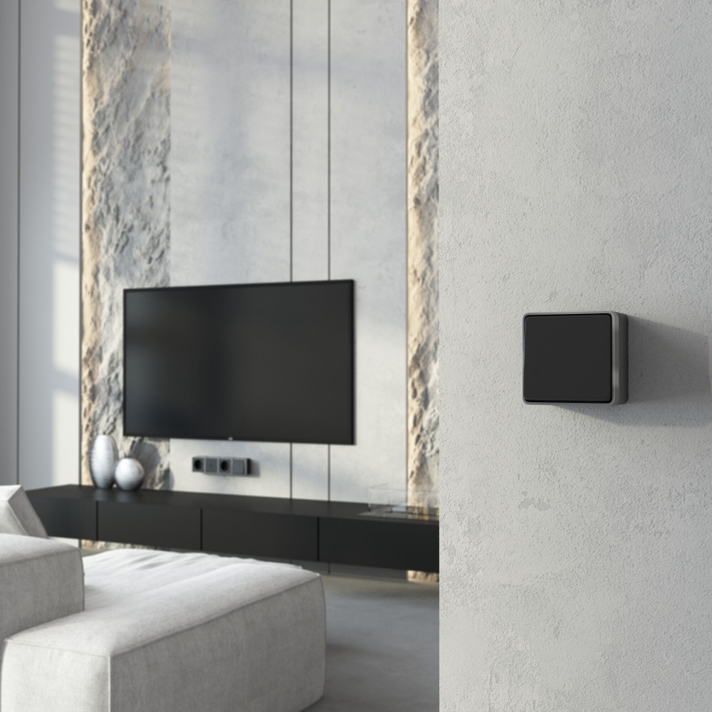 Выключатель одноклавишный Gallant черный с серебром W5010034 W5010034