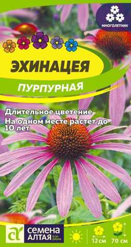 Эхинацея Пурпурная 0,2г Семена Алтая - многолетник