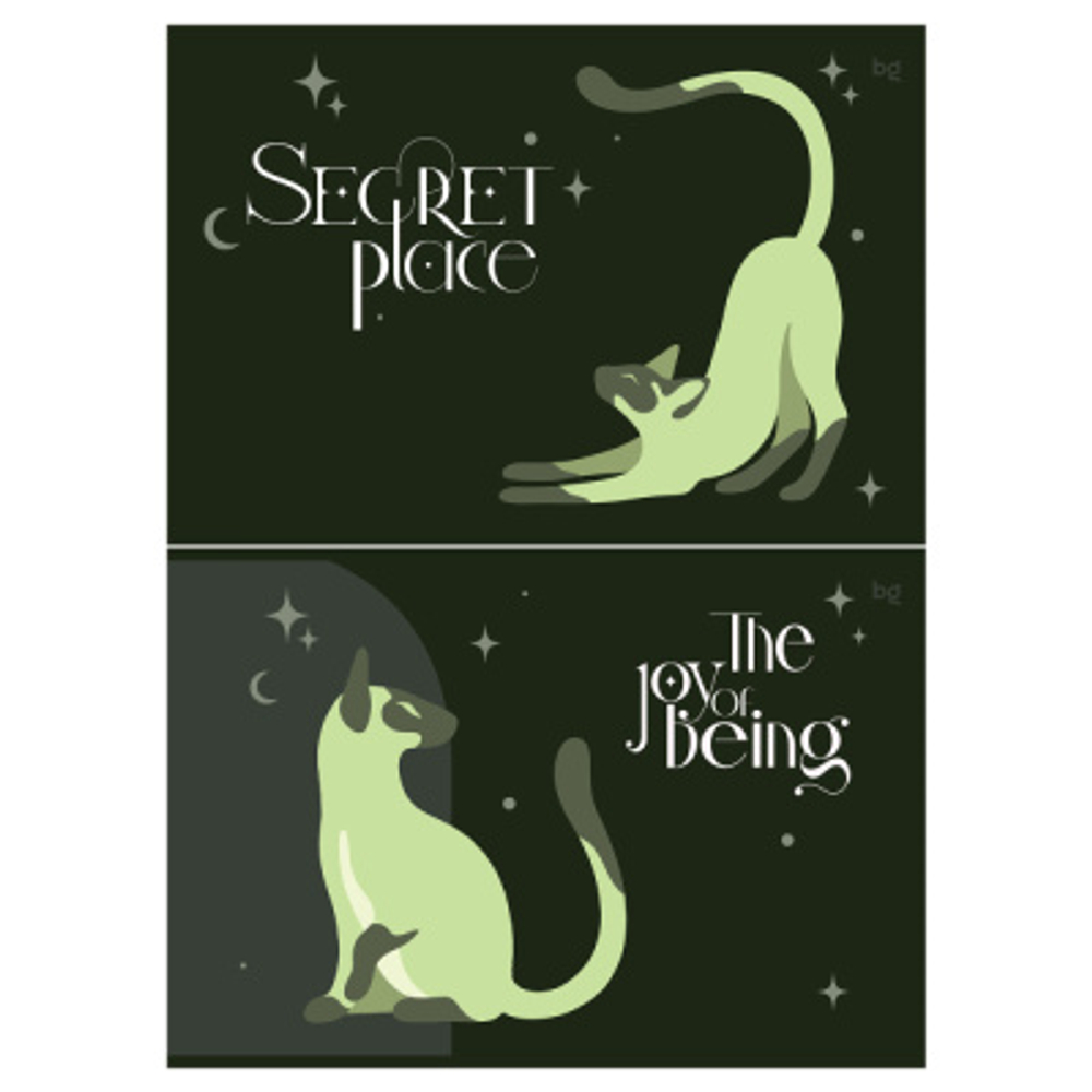 Альбом для рисования 40л., А4, на скрепке BG "Secret Pla