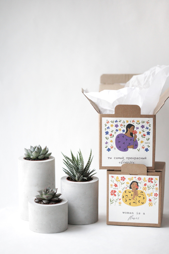 Набор из 3х бетонных кашпо разной высоты с суккулентами