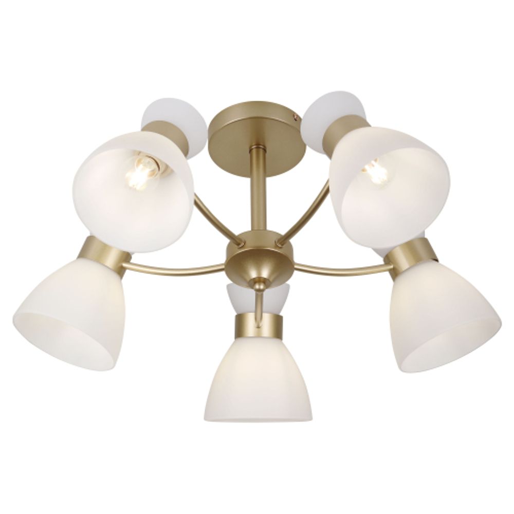 Люстра Rivoli Wendy 9184-305 5хЕ27 60 Вт модерн | Rivoli